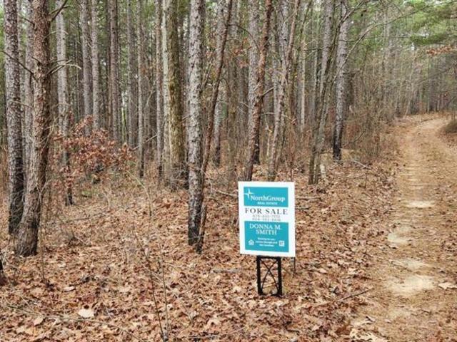 Land for sale in Georgia