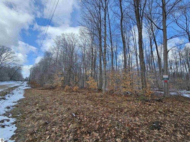 Land for sale in Lake City, Michigan