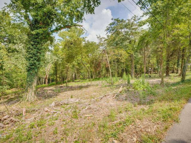 Land for sale in Tennessee