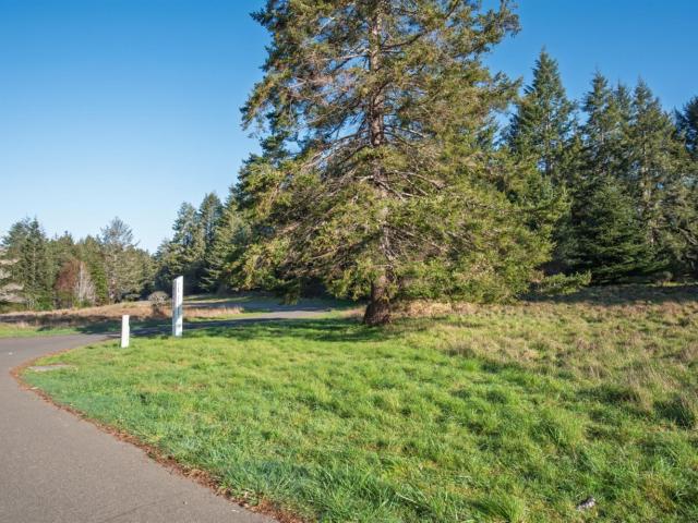 Land for sale in The Sea Ranch, California