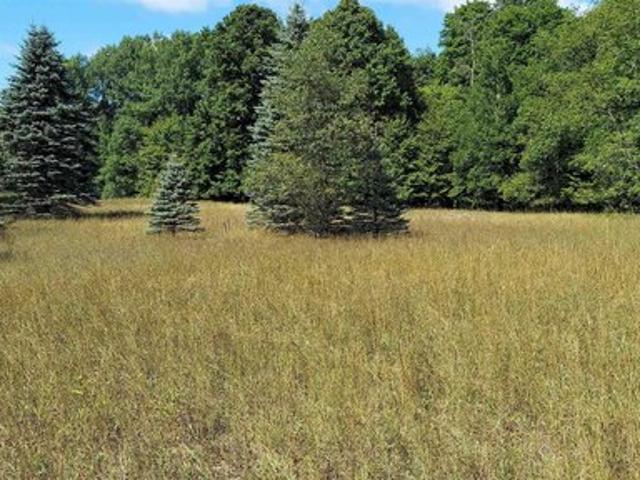 Land for sale in Bellaire, Antrim County