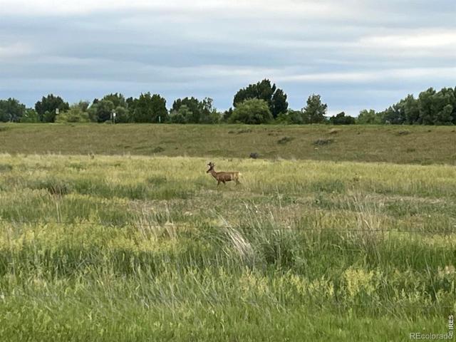 Land for sale in Colorado