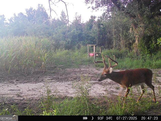 Land for sale in Dougherty, Georgia