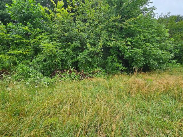 Land for sale in Monrovia, Indiana
