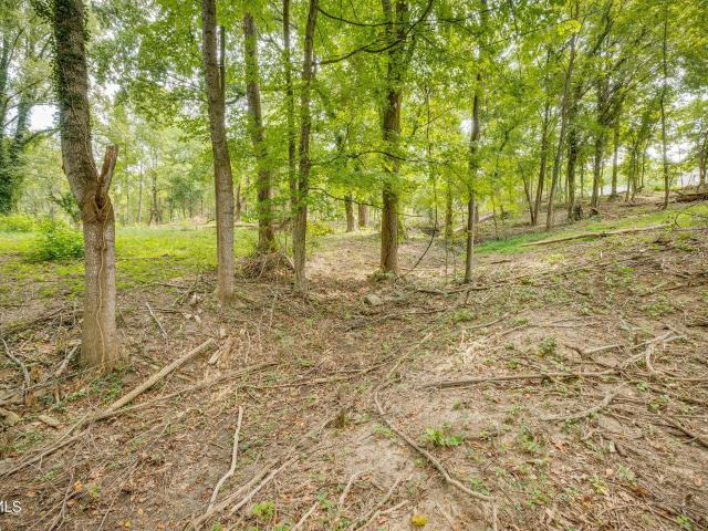 Land for sale in Tennessee