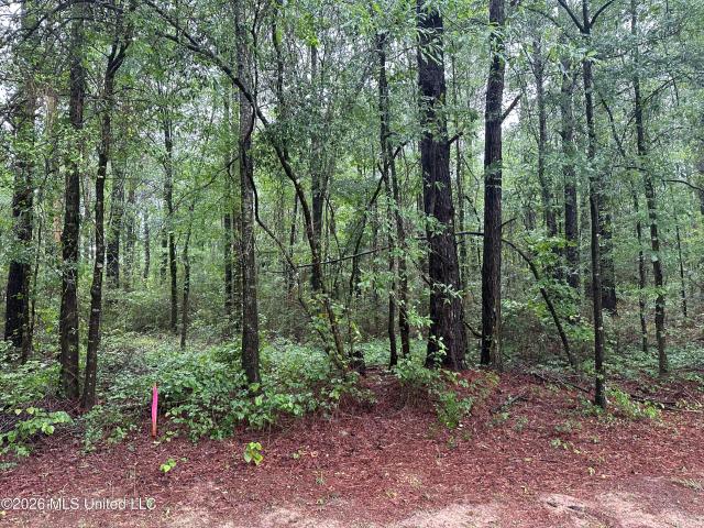 Land for sale in Bogue Chitto, Mississippi