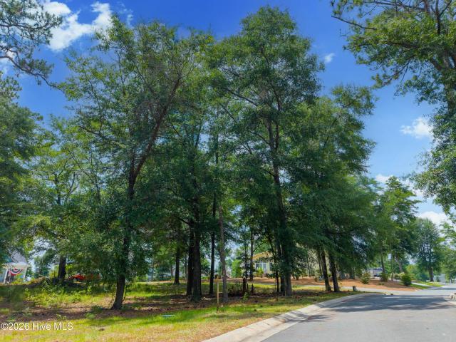 Land for sale in Castle Hayne, North Carolina