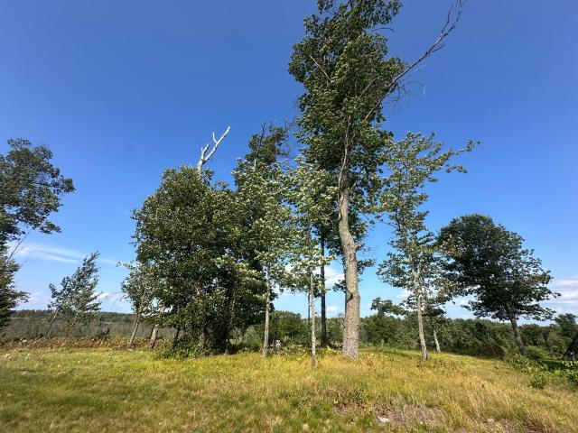 Land for sale in Minnesota
