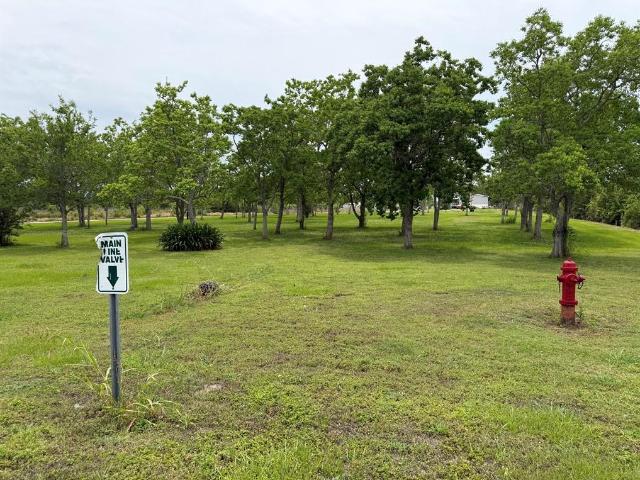 Land for sale in Buras, Louisiana