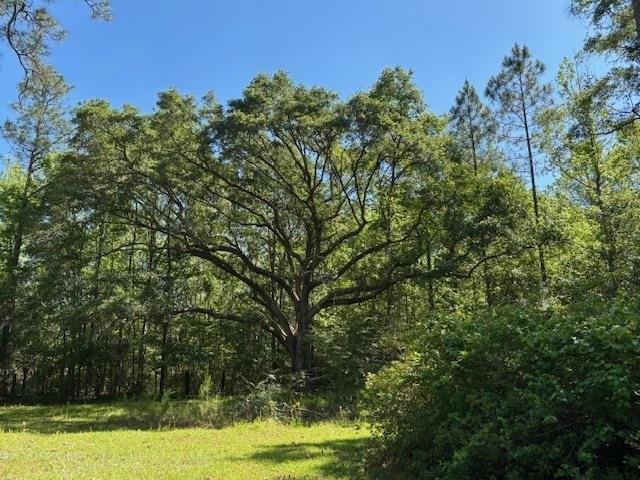 Land for sale in Webb, Alabama