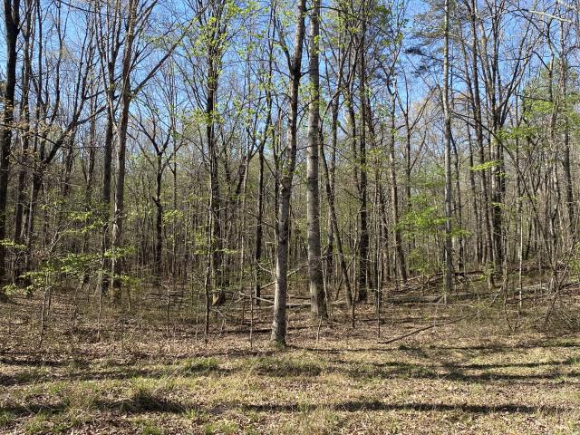 Land for sale in Tennessee