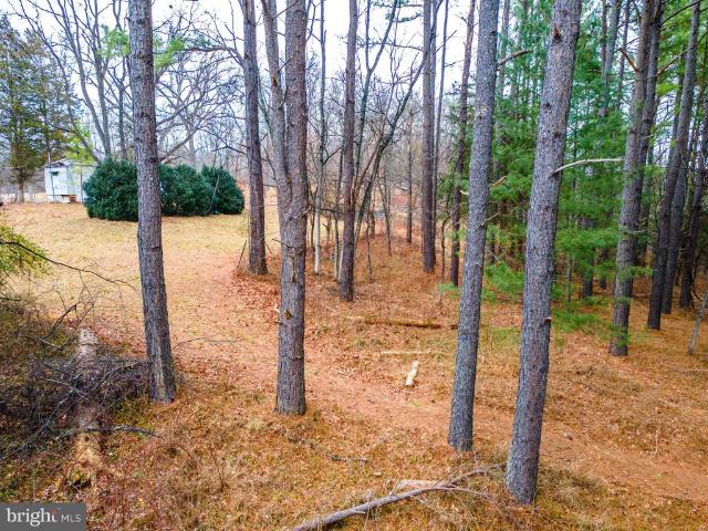 Land for sale in Virginia