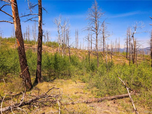 Land for sale in Fort Garland, Colorado