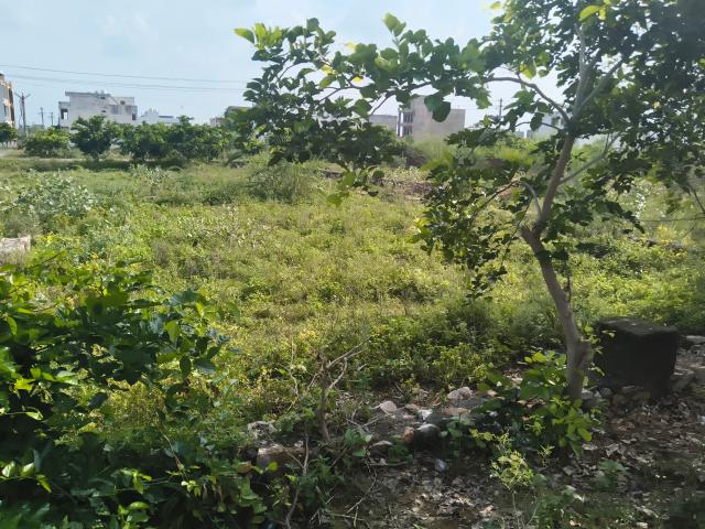 Land for sale in Pink City, Jetpur
