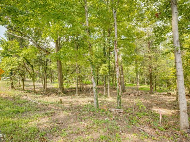 Land for sale in Tennessee