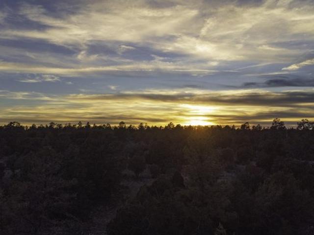 Land for sale in Happy Jack, Arizona