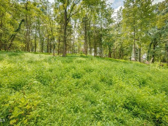 Land for sale in Tennessee