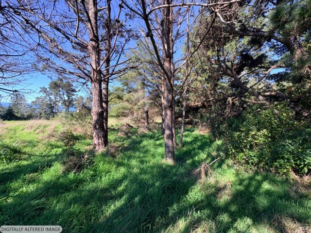 Land for sale in The Sea Ranch, California