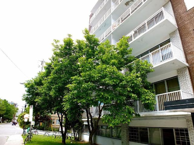 Apartment for rent in Mulhurst Bay, Ontario