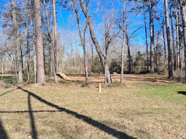 Land for sale in Onalaska, Polk County