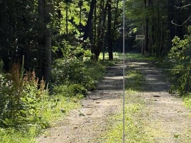 Land for sale in Michigan