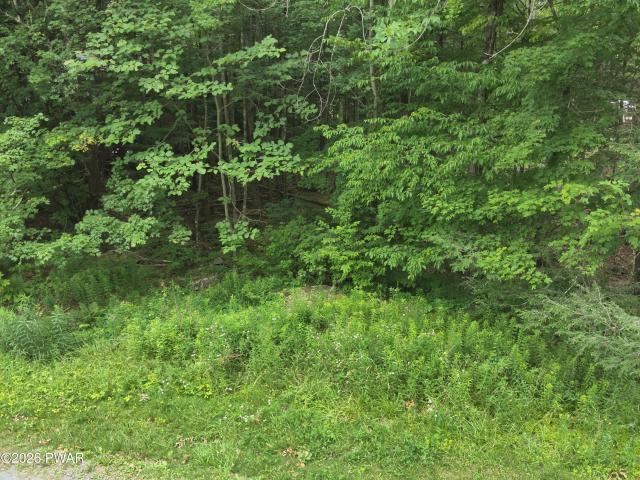 Land for sale in Lake Ariel, Pennsylvania
