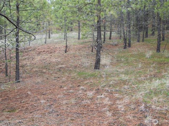 Land for sale in Davenport