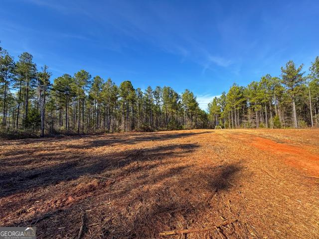 Land for sale in Hamilton, Georgia