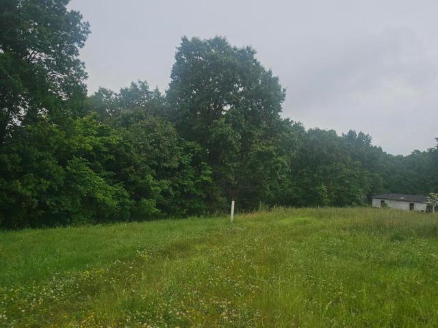Land for sale in Stone, Missouri