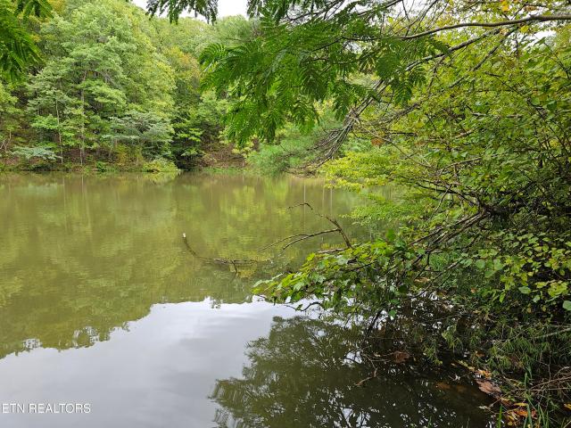 Land for sale in Tennessee