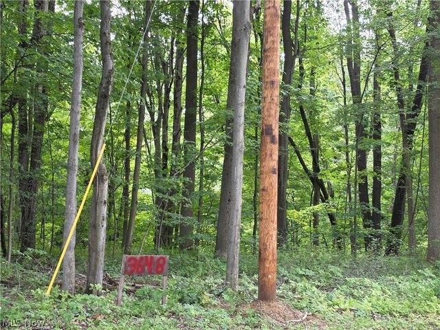 Land for sale in Geneva, Ohio