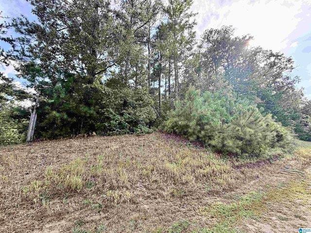 Land for sale in Clanton, Alabama
