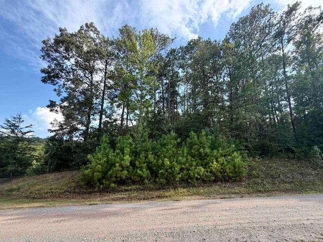 Land for sale in Clanton, Alabama