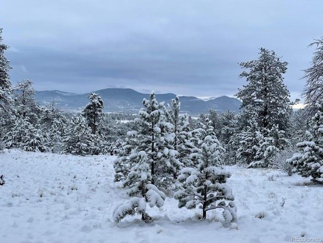 Land for sale in Hartsel, Park County