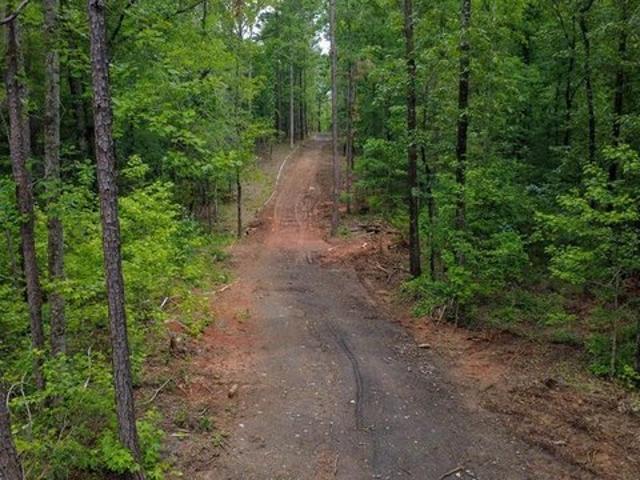 Land for sale in Hampton, Georgia