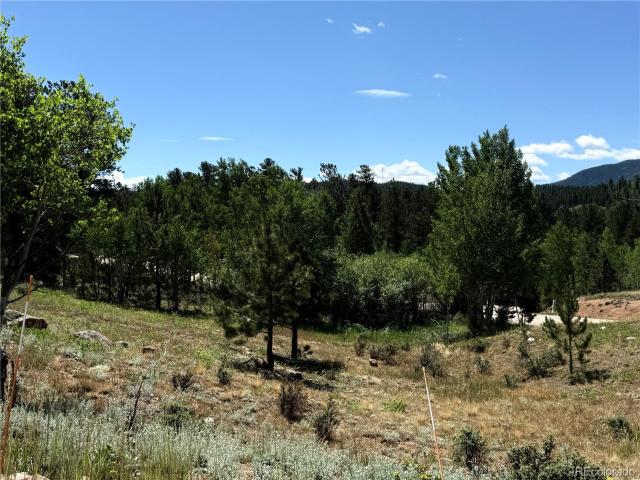 House for sale in Bailey, Park County