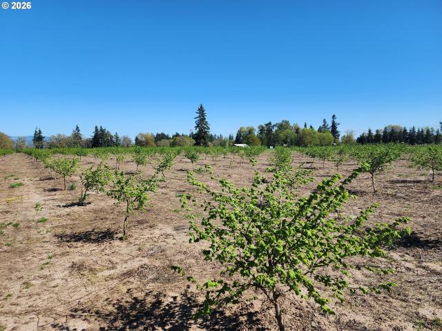 Land for sale in Oregonia