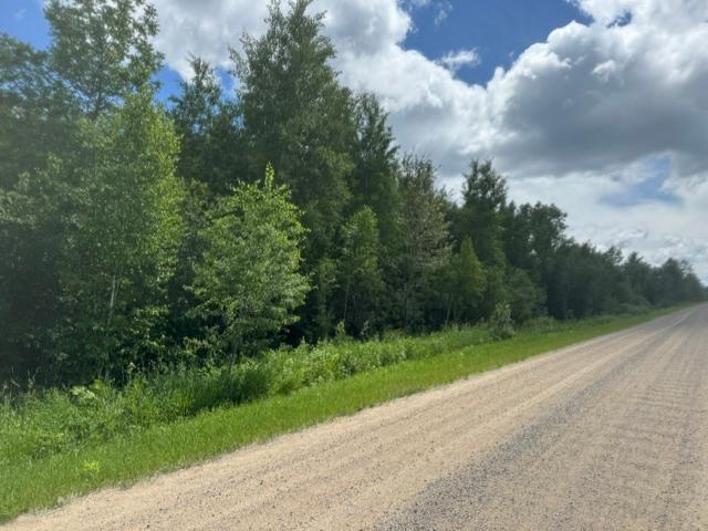 Land for sale in Deer River, Minnesota