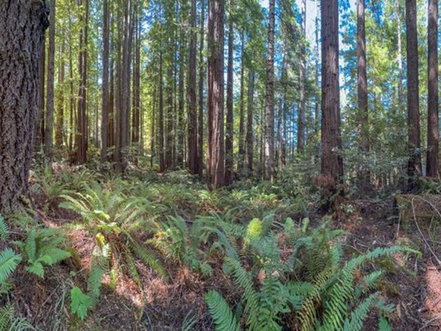 Land for sale in The Sea Ranch, California