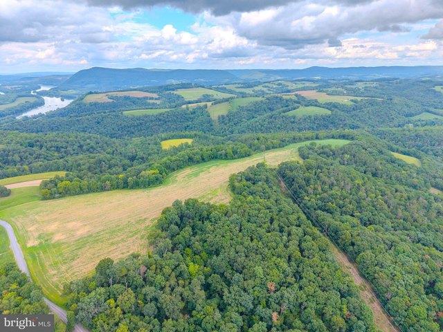 Land for sale in Herndon, Pennsylvania