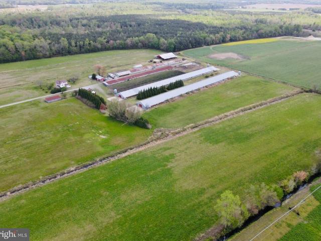 Land for sale in Willards