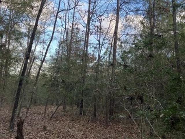 Land for sale in Dozier, Alabama