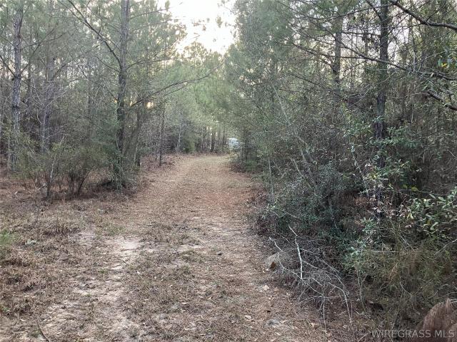 Land for sale in Dozier, Alabama