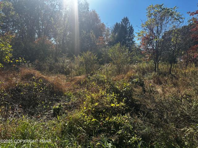 Commercial for sale in Shawnee On Delaware, Pennsylvania