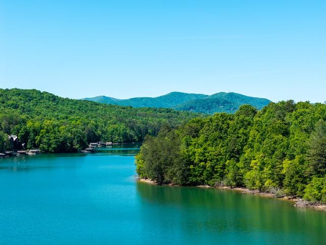 Land for sale in Morganton, Georgia