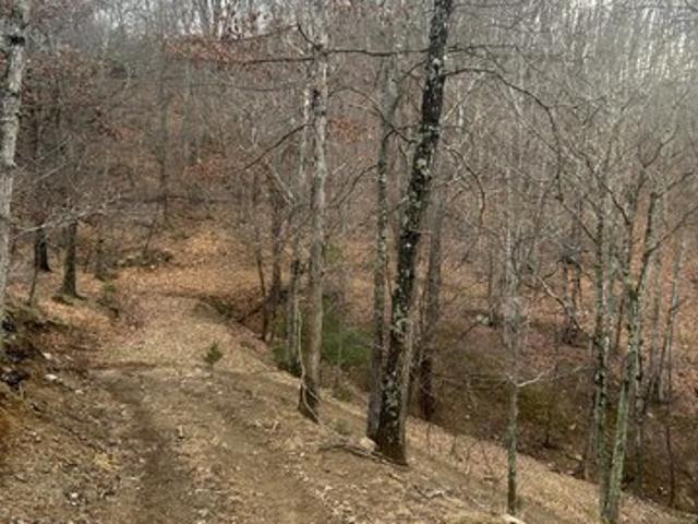 Land for sale in Franklin, West Virginia