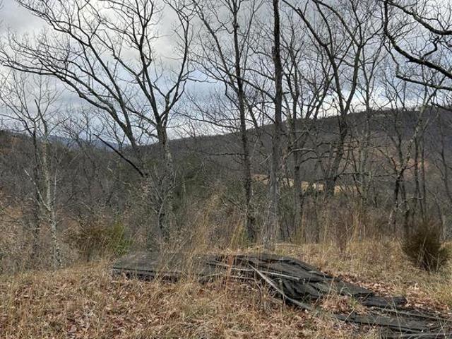 Land for sale in Franklin, West Virginia