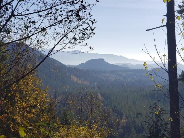 Land for sale in Enumclaw, Washington