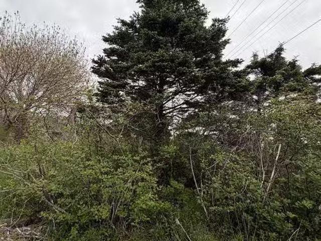 House for sale in East Ferry, Nova Scotia