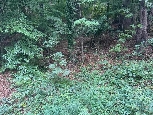 Land for sale in Alberta, Alabama